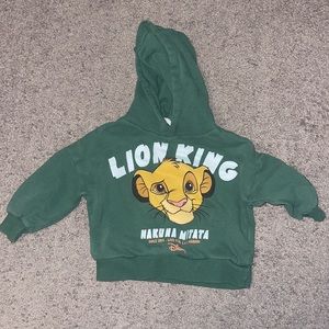 Toddler Zara Hoodie